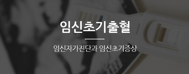임신초기출혈